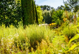 &copy; Andr&eacute; Wirsig