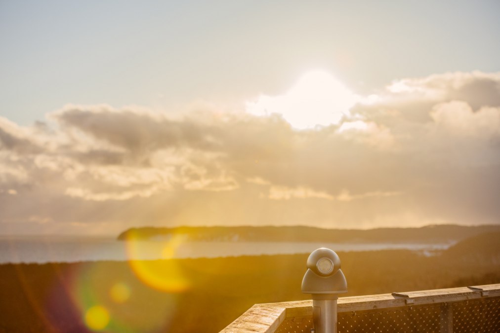 Sonnenaufgang auf dem Baumwipfelpfad, © Binzer Bucht Tourismus