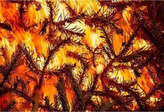 &copy; Gemeinde Ostseebad Glowe