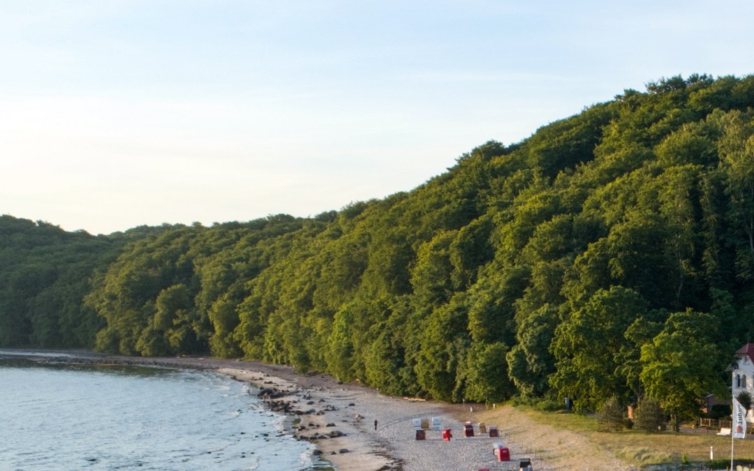 Voor kinderen: ontdek het bos en het strand met de ranger, © Binzer Bucht Tourismus