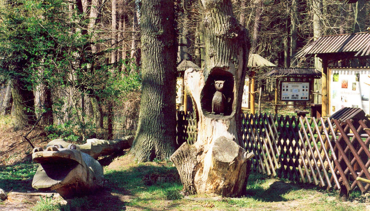 Info center forest and moor entrance nature trail, © Stadt Ribnitz Damgarten