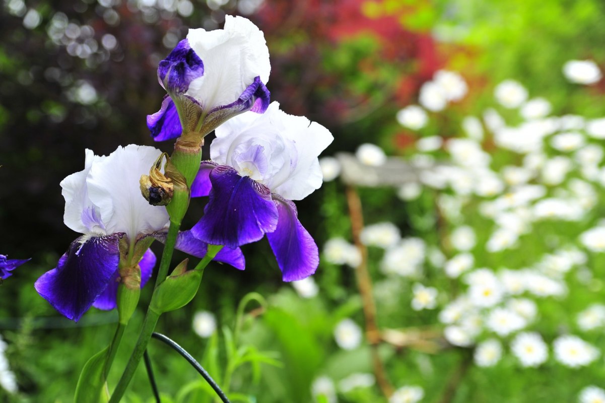 &copy; Tourismusverband Vorpommern e.V.