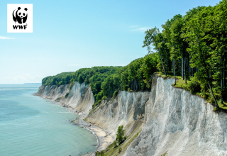 &copy; Nationalpark-Zentrum K&ouml;nigsstuhl