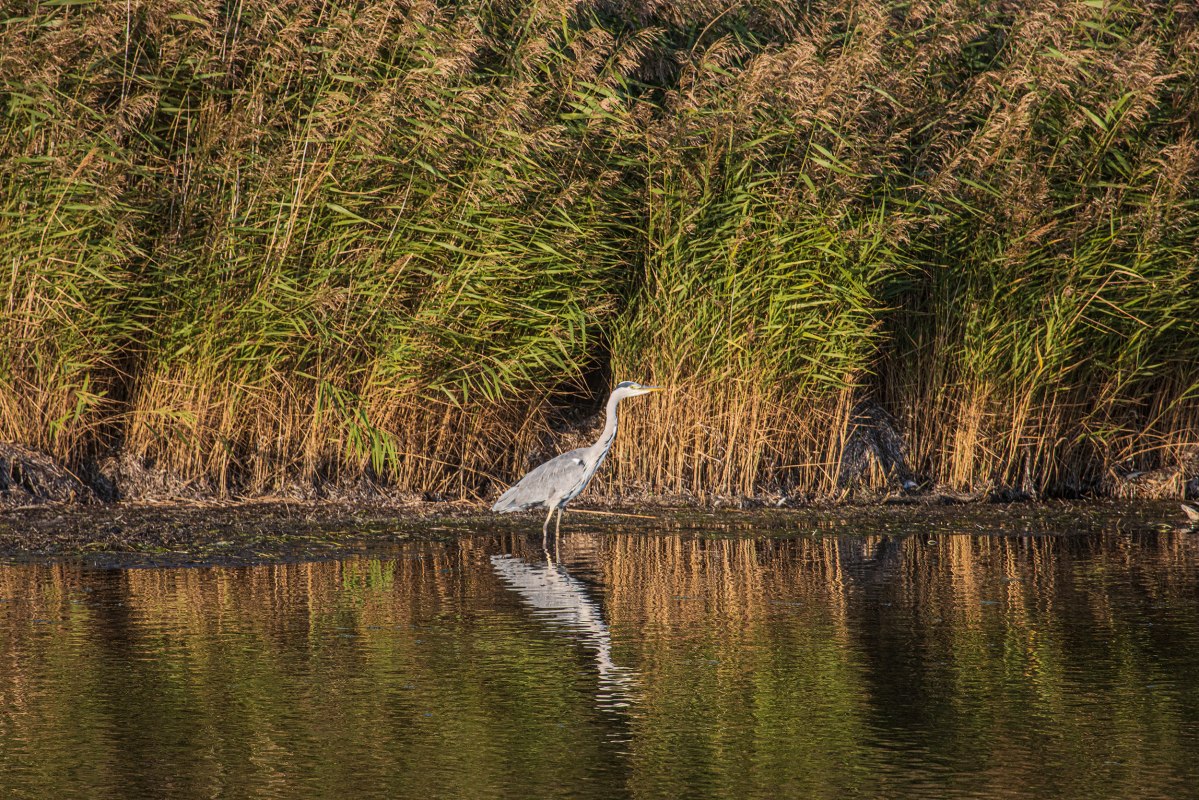 © Weiße Flotte GmbH © Weiße Flotte GmbH