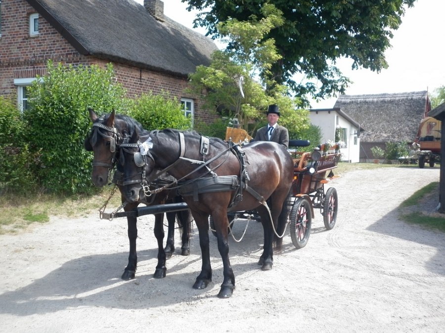 Przejażdżka bryczką to wyjątkowe przeżycie dla całej rodziny., © Juliana Völkner