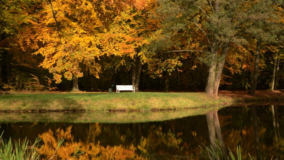 Herfst Ludwigslust Schlosspark Bank Herfst, © Tourismusverband Mecklenburg-Schwerin