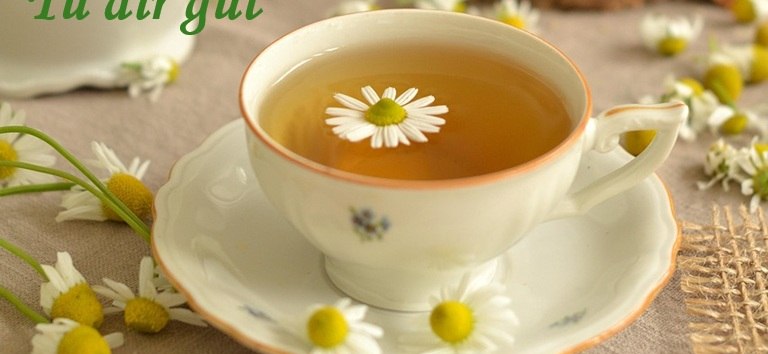 © vortrag_tudirgut.jpg