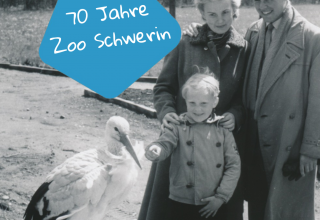 70 years of Schwerin Zoo // &copy; Zoo Schwerin