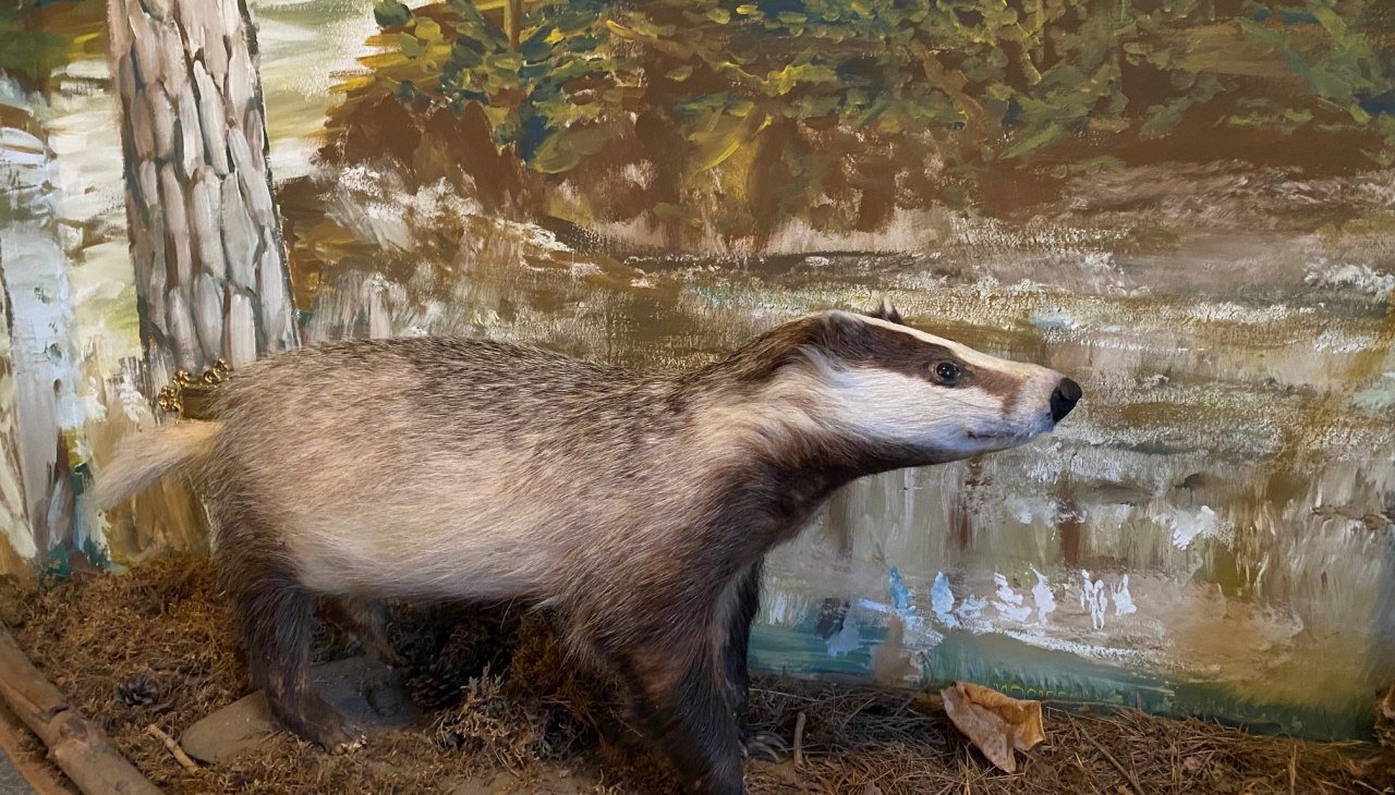 Heimatstube, &copy; Amt Mecklenburgische Kleinseenplatte