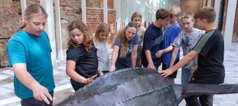 © Anke Neumeister/Deutsches Meeresmuseum