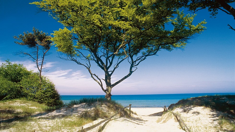 Karaibski klimat na Darßer Weststrand, Fischland-Darß-Zingst // © MV-T/Voigt & Kranz Karaibski klimat na Darßer Weststrand, Fischland-Darß-Zingst // © MV-T/Voigt & Kranz