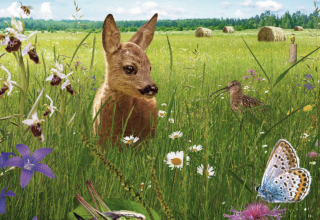 &copy; Basiskulturfabrik GmbH