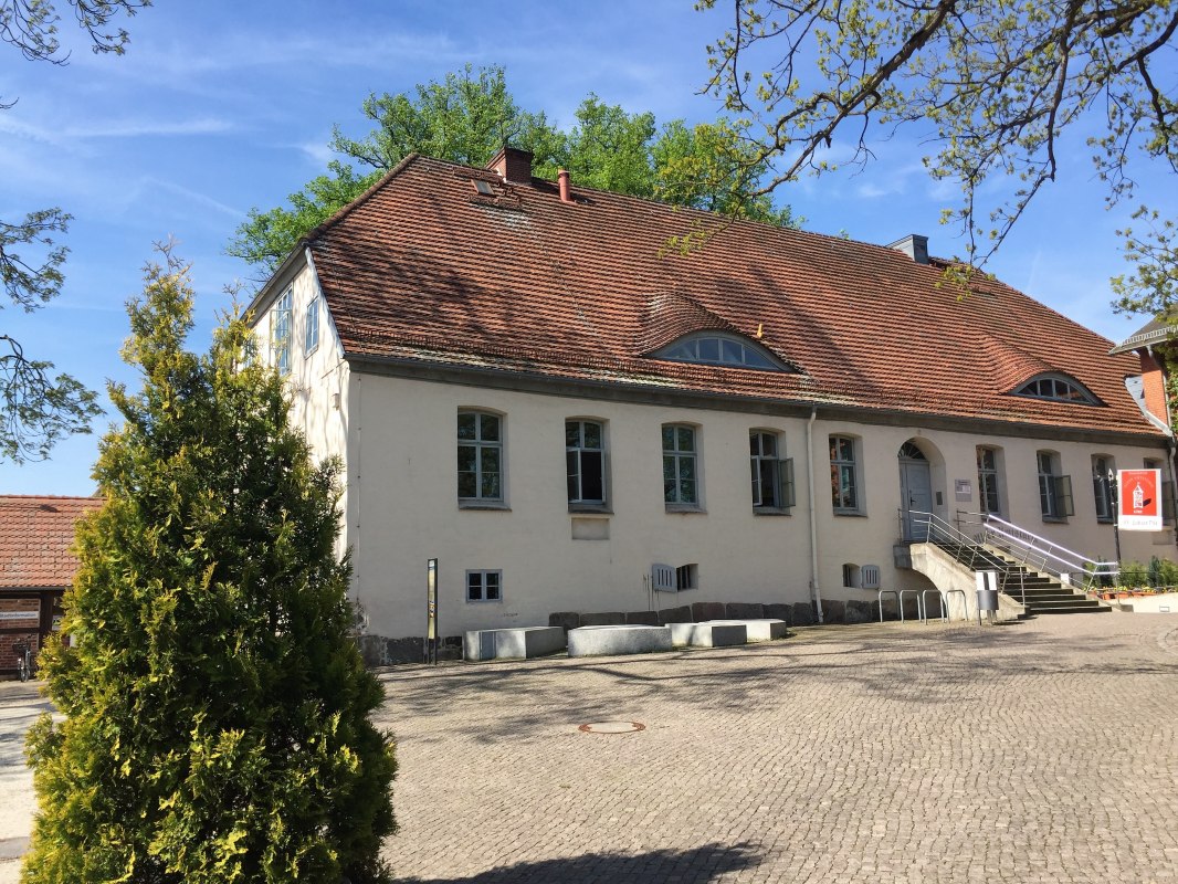 Library // &copy; Susan Schejer