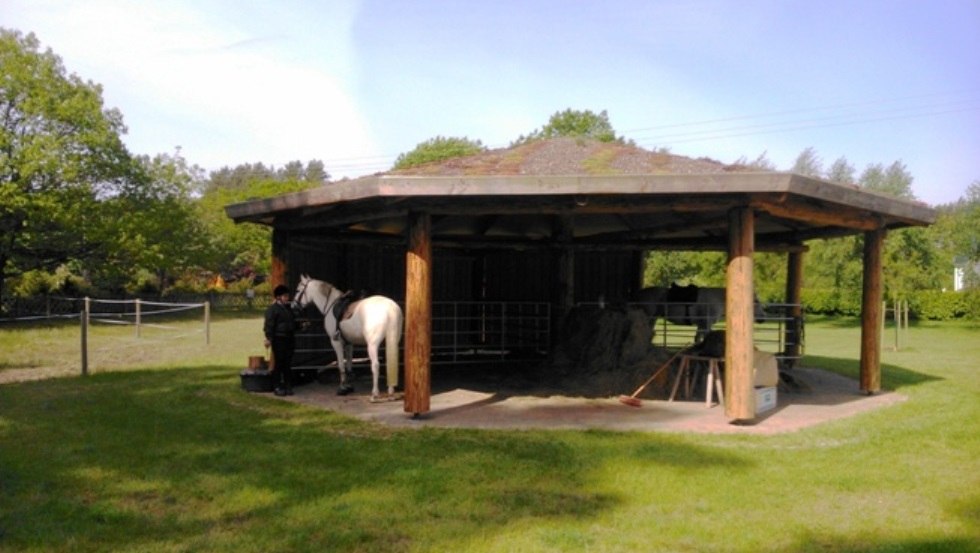 In the vacation resort Am Walde horse and rider can idyllically relax and unwind., &copy; Thamm
