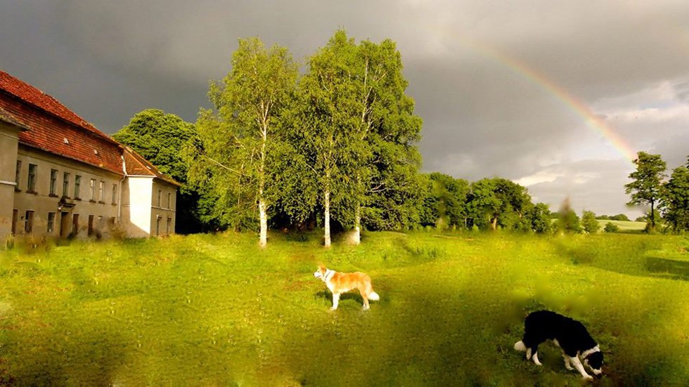 Kasteel Neuhoff, © Schloss Neuhoff