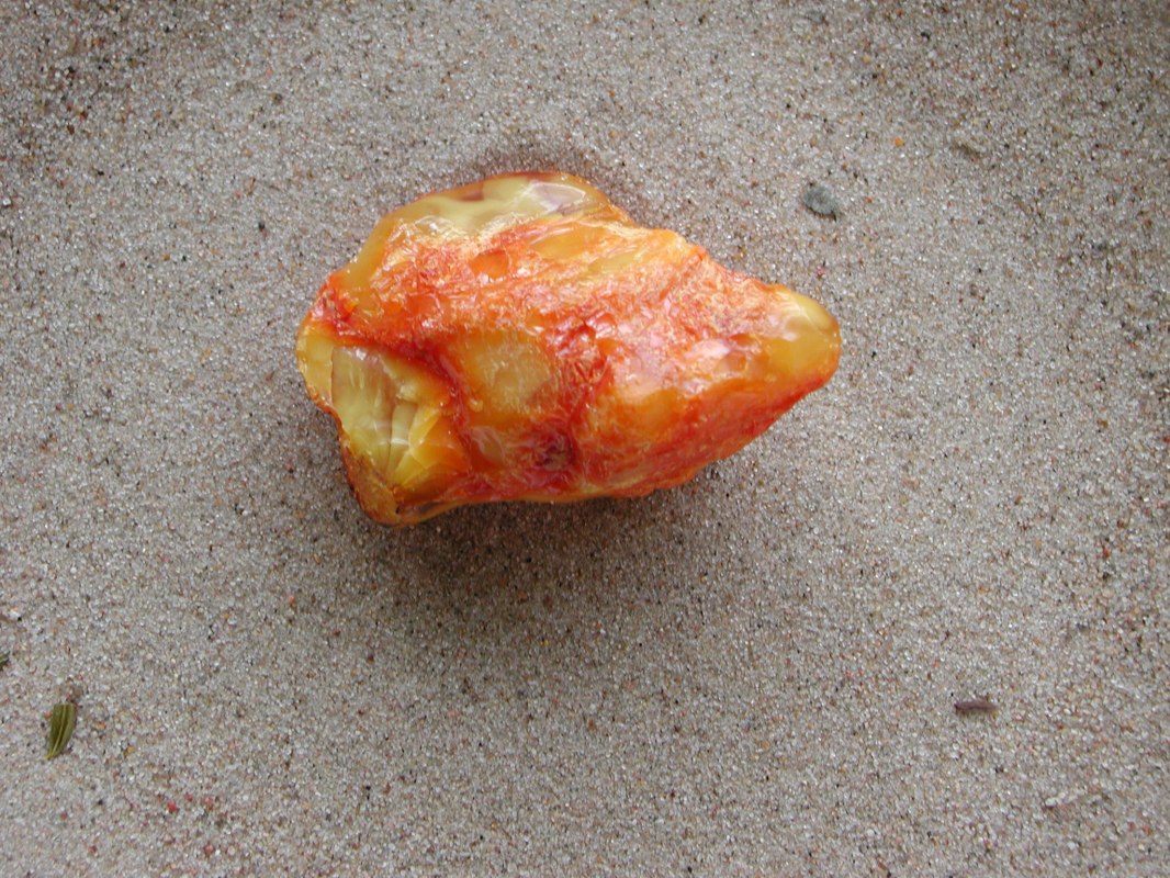 Wykład "Bursztyn i fosfor" z Cariną Reich, &copy; dscn8767