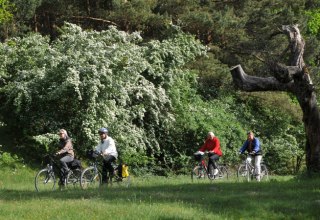 © Waren (Müritz) Kur- und Tourismus GmbH © Waren (Müritz) Kur- und Tourismus GmbH