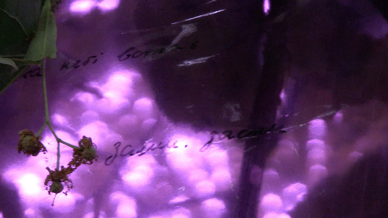 © Annette Czerny © Annette Czerny