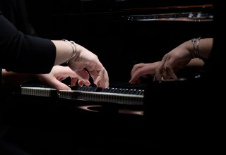 &copy; Mirco Dalchow