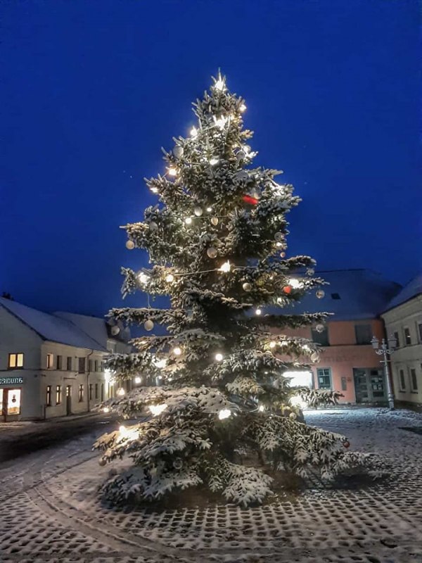 Kerstboom op het marktplein // &copy; Gabriele Riech