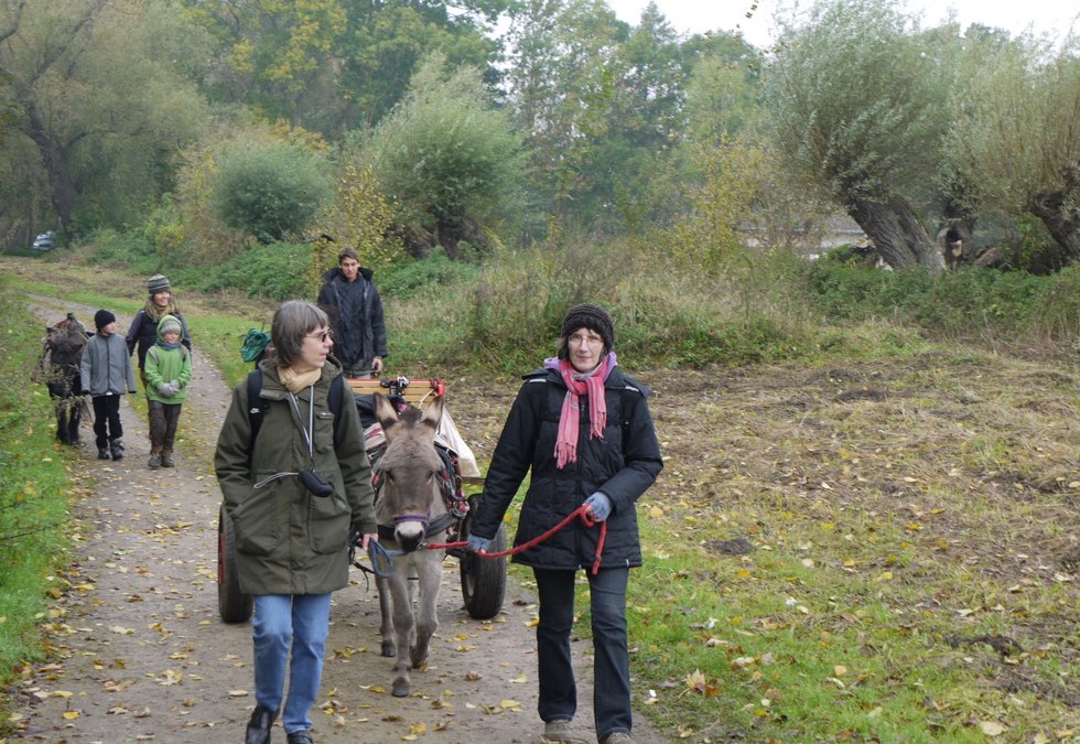 Onze dieren houden van wandelen, zelfs in de winter, © Gerhard Mersch