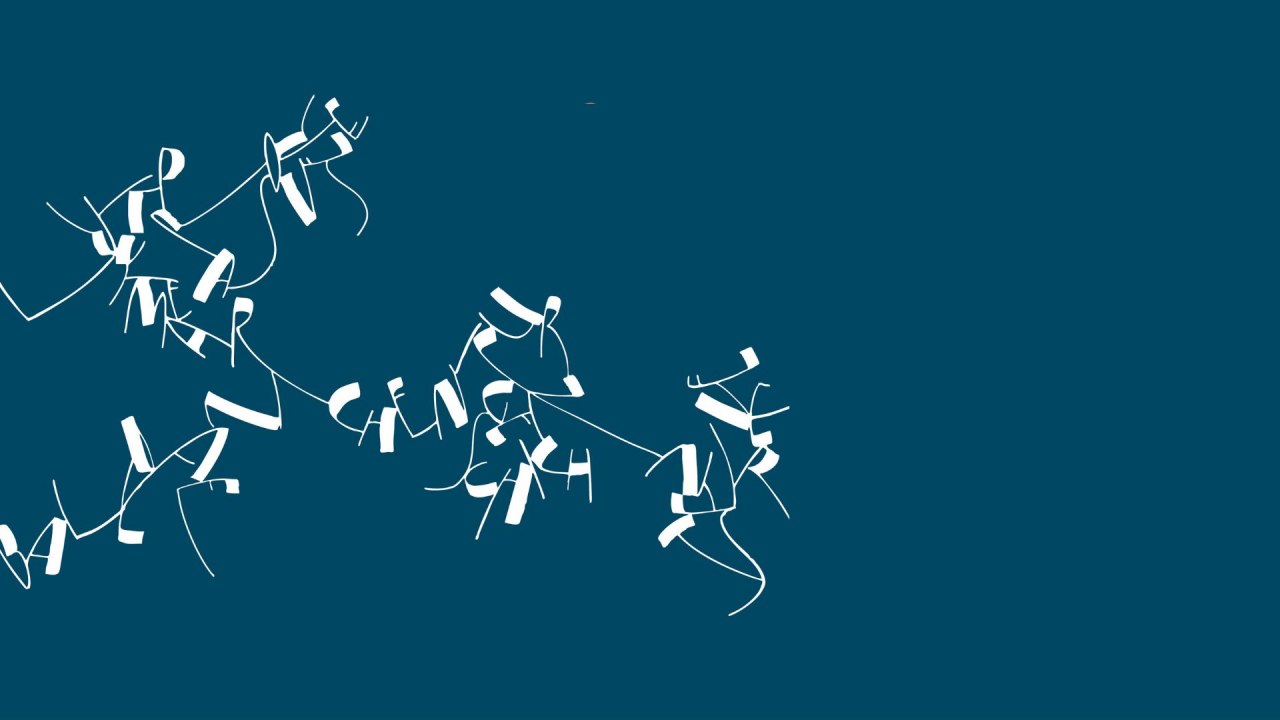 © Kurverwaltung Ahrenshoop © Kurverwaltung Ahrenshoop