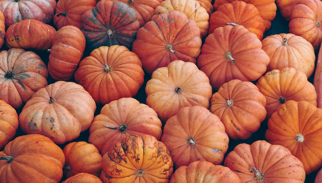 dynia-7496159_1280, &copy; Hansestadt Demmin