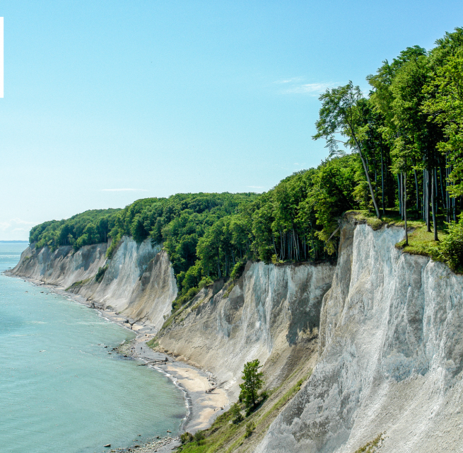 &copy; Nationalpark-Zentrum K&ouml;nigsstuhl