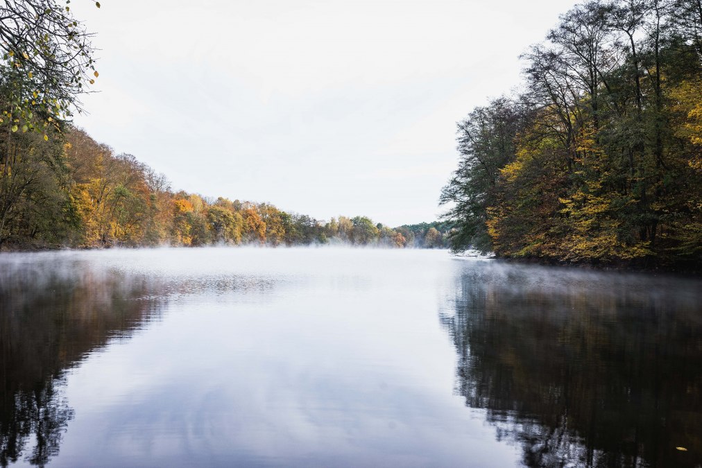 LKO00683_edited, © Heike Brechler LKO00683_edited, © Heike Brechler