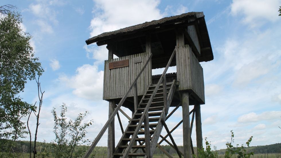 Wielka wieża widokowa Serrahnsee, © TMV/Bodieschek