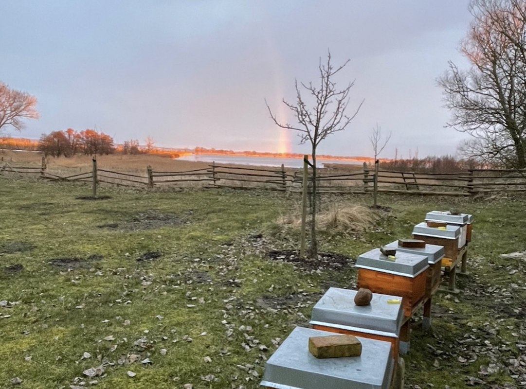 Morning mood on the moor // &copy; Peter Wittenberg