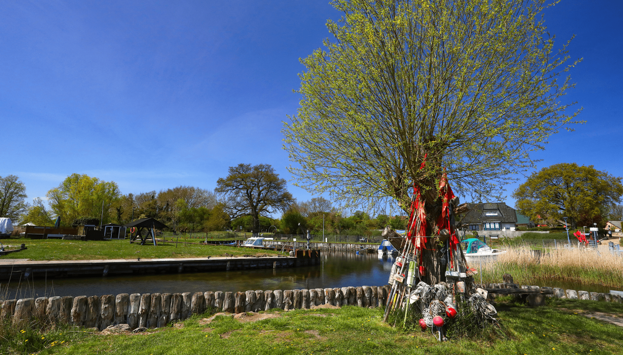 Port rybacki Zempin, &copy; TMV/Gohlke
