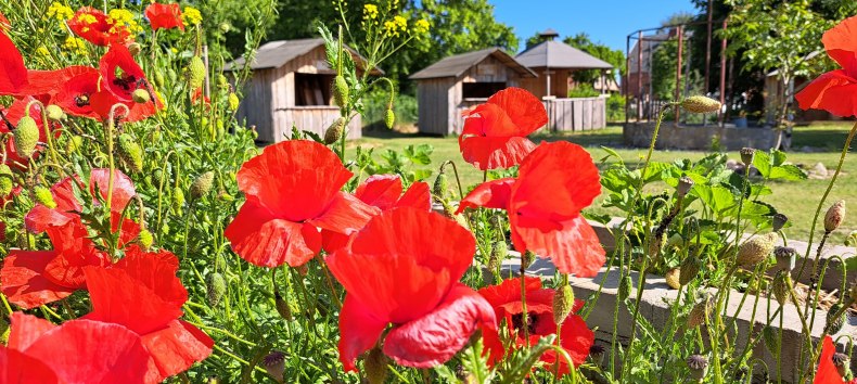 Courtyard view with the rustic huts, &copy; Sabrina Brodoch