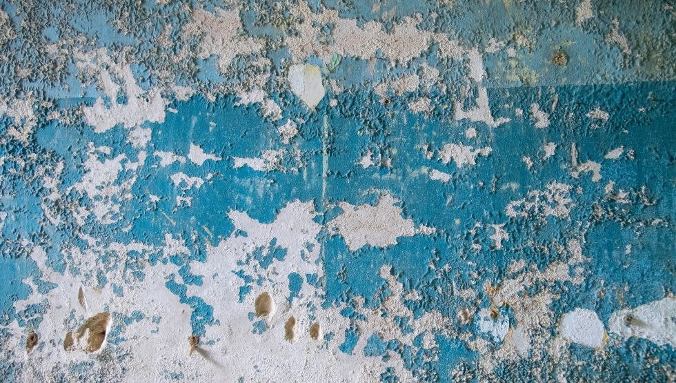 'Blue salon photography on canvas, © Jana Bath