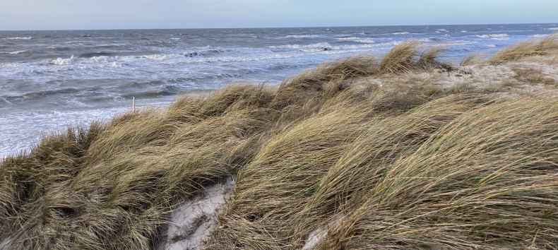 © Nationalparkamt Vorpommern © Nationalparkamt Vorpommern