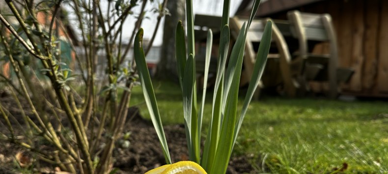 Pinksteren met de Bernstein Ruiters // &copy; de