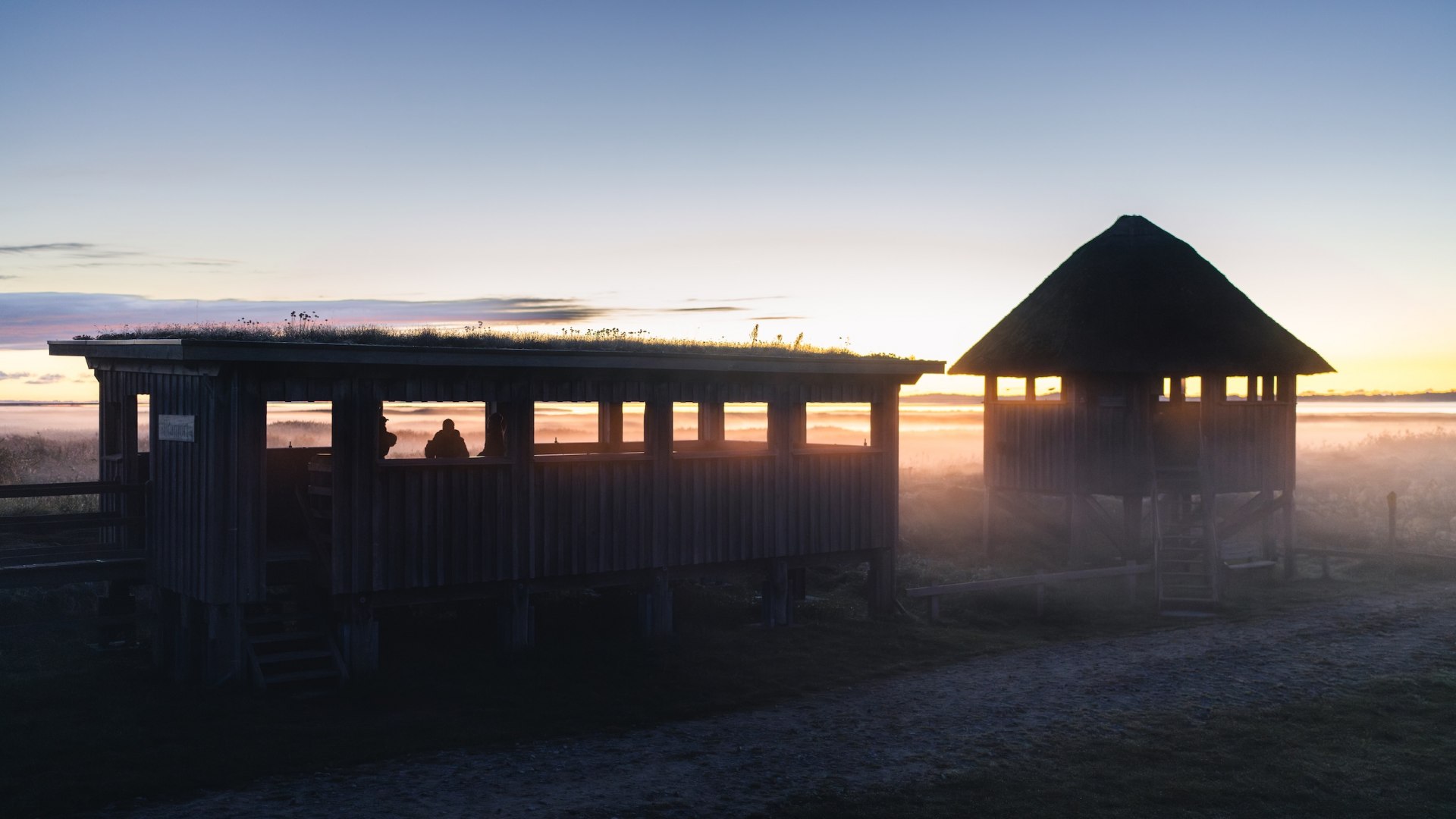 Pramort uitkijkplatform bij Zingst in het Vorpommersche Boddenlandschaft National Park bij zonsopgang.