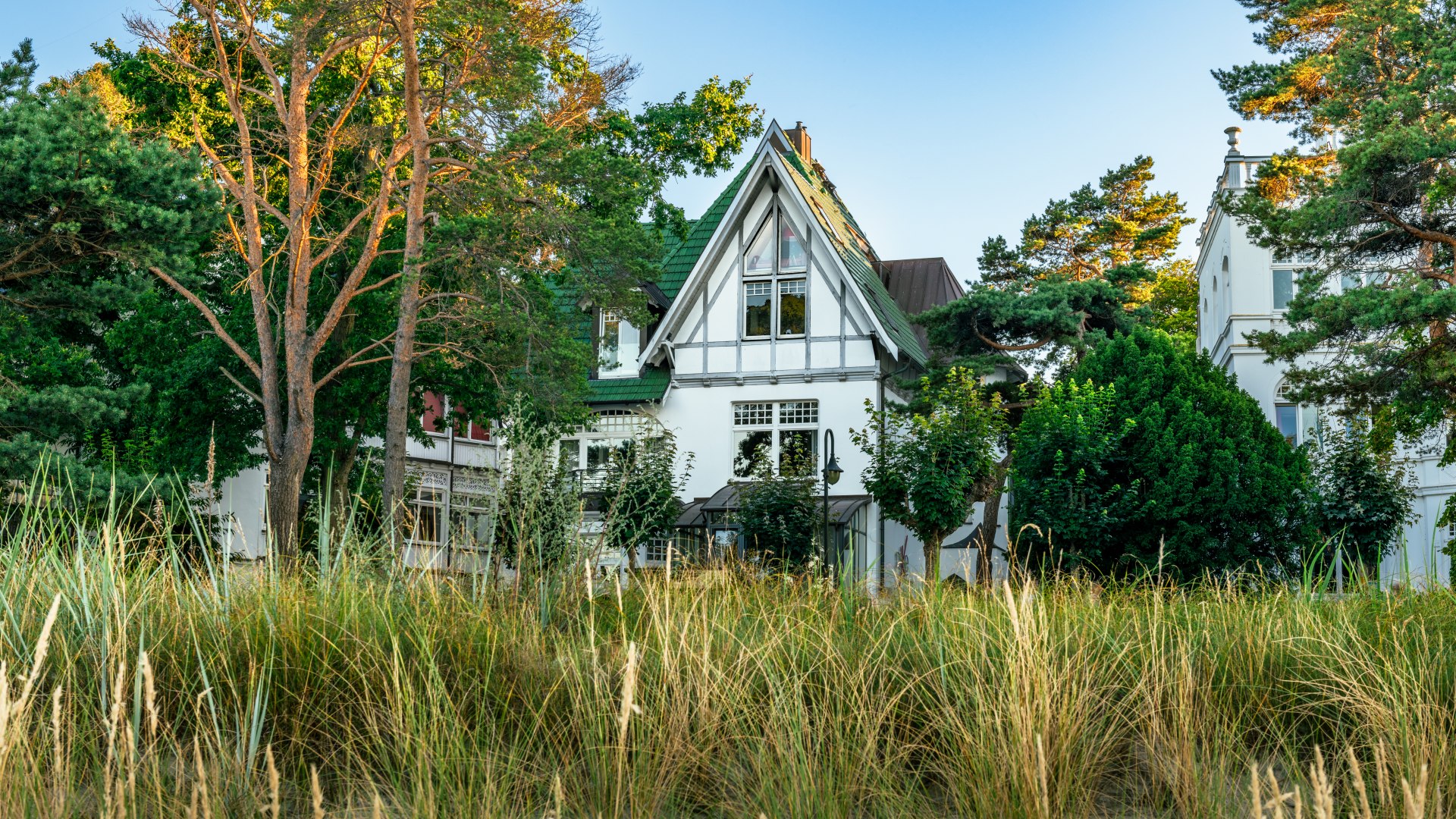 The "Nixe" house nestles romantically behind the dune grass in Binz at sunset.