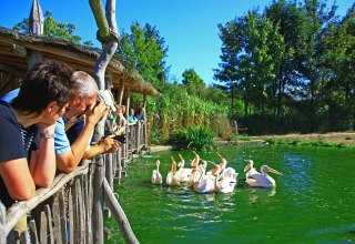 © Vogelpark Marlow