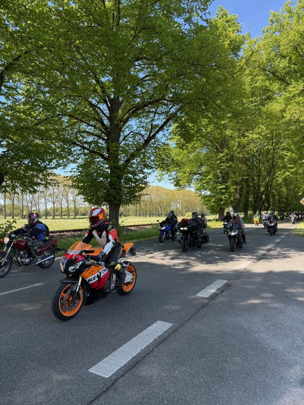 &copy; Dagmar Kr&uuml;ger TI