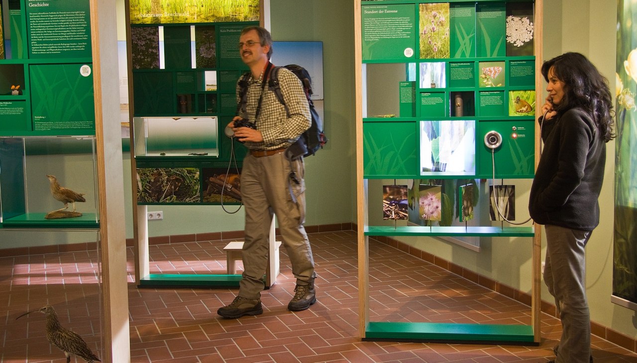 Tentoonstelling over verschillende habitattypes in het natuurpark in het bezoekersinformatiecentrum, © U.Steinhäuser