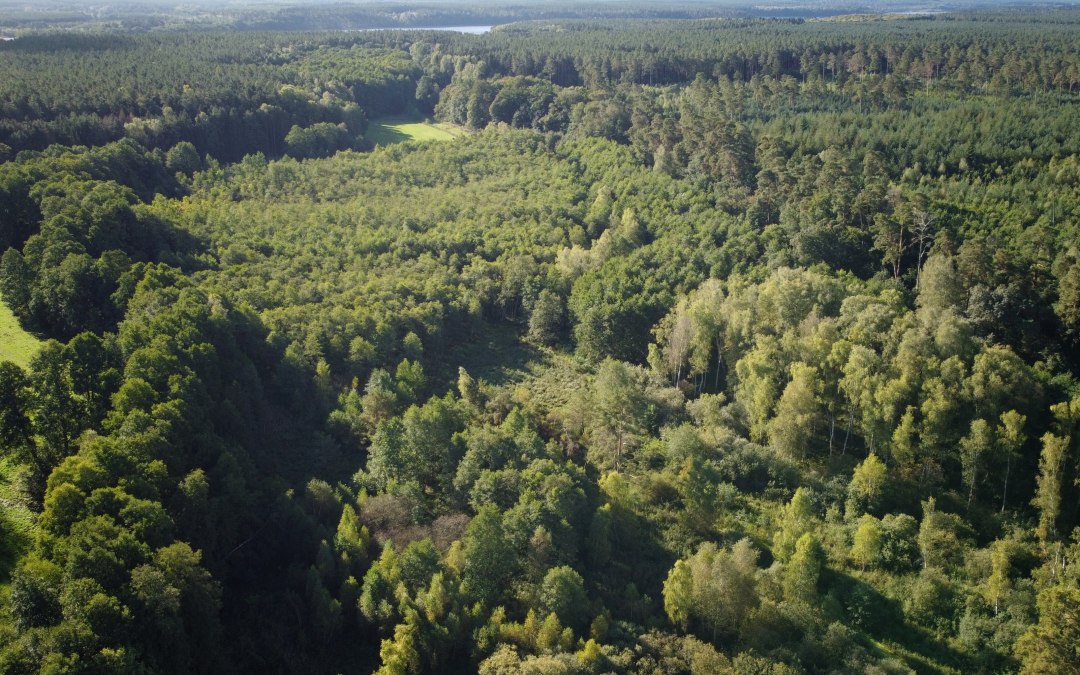 DJI_0866, © Landesforst MV