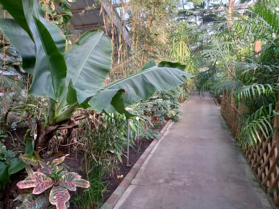 20220312_163531, © Schmetterlingsfarm/Heike Schnelle 20220312_163531, © Schmetterlingsfarm/Heike Schnelle