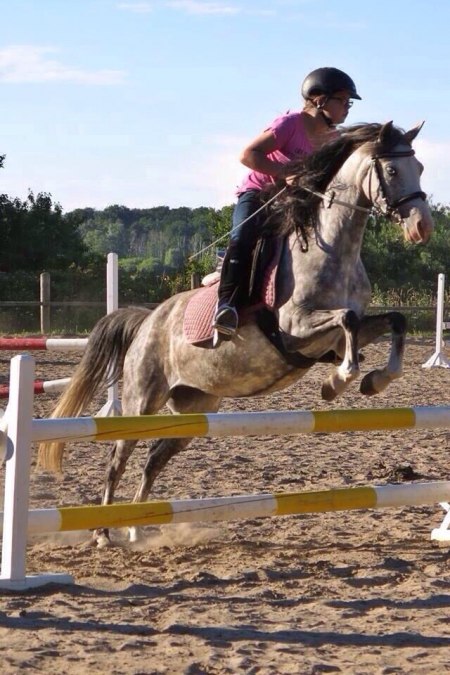 8.3.2, © bernsteinreiter 8.3.2, © bernsteinreiter