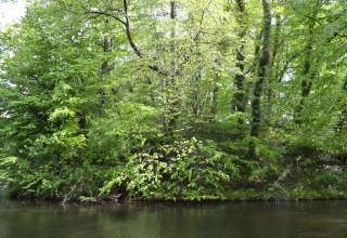 Erhebung des Turmhügels am Wassergraben. // © Lutz Werner Erhebung des Turmhügels am Wassergraben. // © Lutz Werner