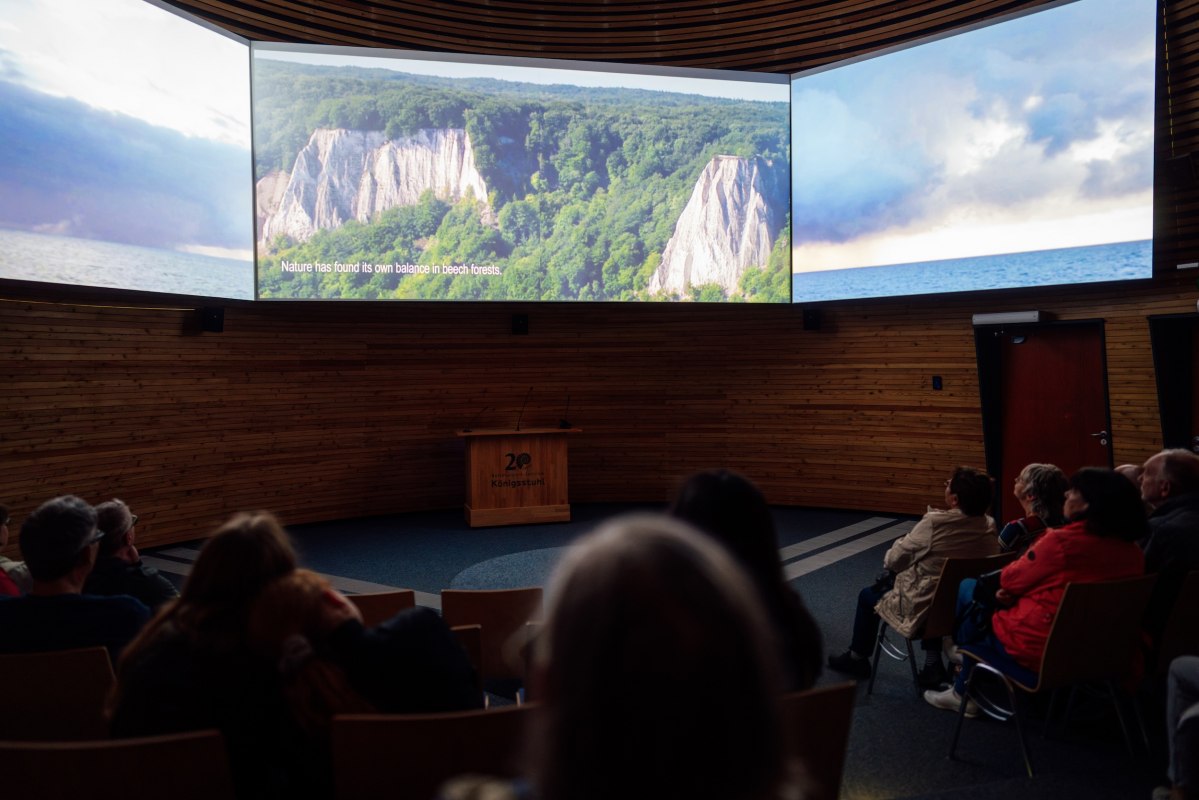 Een bioscoopzaal met een grote panoramische projectie waarvoor verschillende zittende mensen naar voren kijken. // © Nationalpark-Zentrum KÖNIGSSTUHL / Dan Petermann Een bioscoopzaal met een grote panoramische projectie waarvoor verschillende zittende mensen naar voren kijken. // © Nationalpark-Zentrum KÖNIGSSTUHL / Dan Petermann