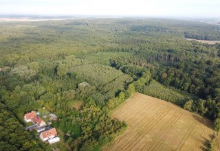 Klimaatbos Golchen, © Landesforst MV