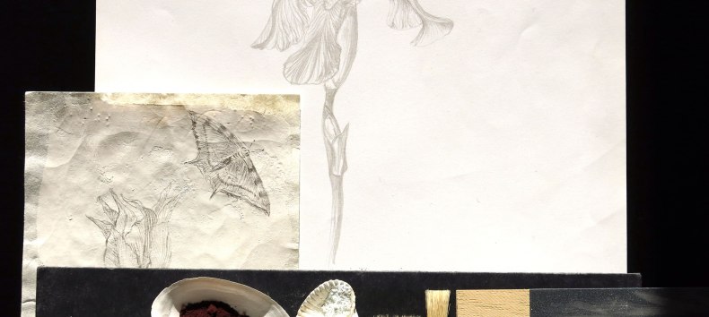 © Jana Plewa © Jana Plewa