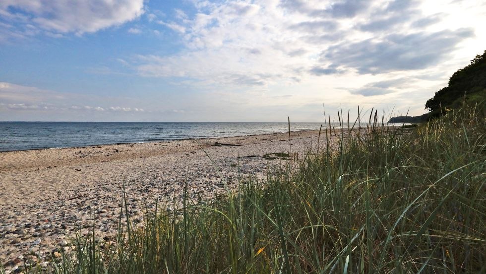 Surfspot Groß Schwansee, © TMV, Danny Gohlke Surfspot Groß Schwansee, © TMV, Danny Gohlke