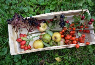 &copy; Naturerlebnisverein R&uuml;gen e.V.